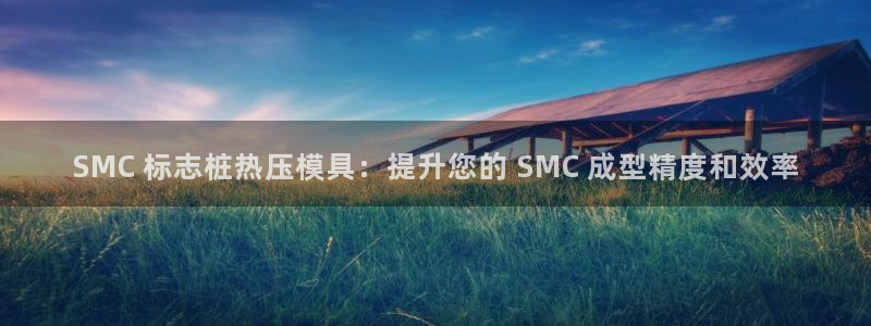 易倍纤谷物粉效果好吗：SMC 标志桩热压模具：提升您的 