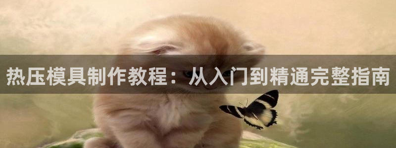 emc易倍最新链接：热压模具制作教程：从入门到精通完整指