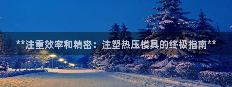 四川易倍易企业管理有限公司：**注重效率和精密：注塑热压