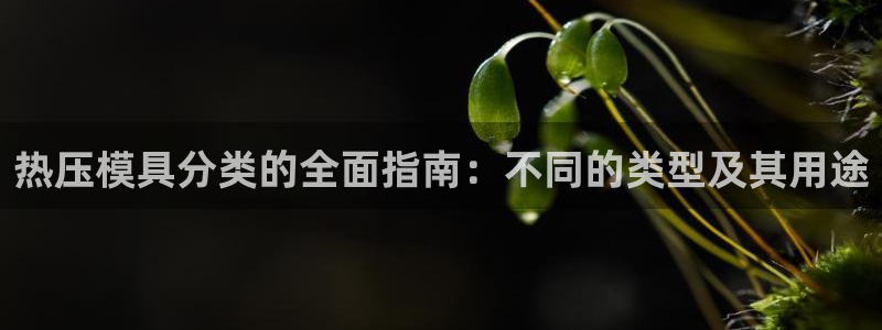 emc低频：热压模具分类的全面指南：不同的类型及其用途