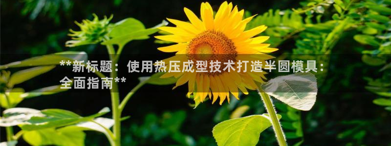 易倍申竞品：**新标题：使用热压成型技术打造半圆模具：
