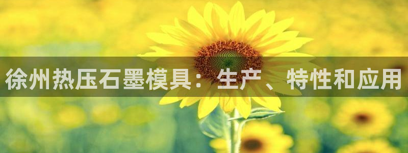 易倍单词软件：徐州热压石墨模具：生产、特性和应用