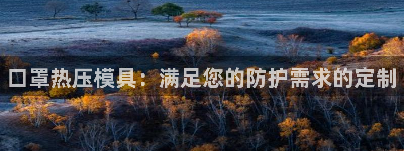 emc易倍官网首页进入：口罩热压模具：满足您的防护需求的
