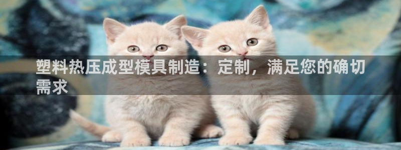 易倍申的包装规格：塑料热压成型模具制造：定制，满足您的确