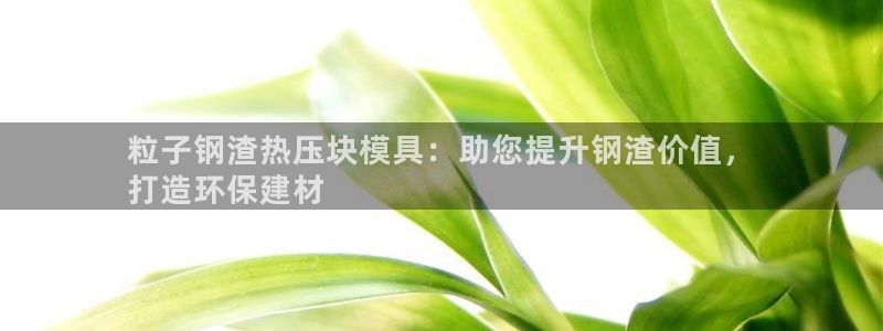 易倍单词app下载：粒子钢渣热压块模具：助您提升钢渣价值