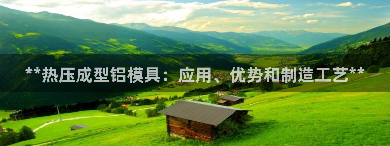 易倍纤谷物粉效果好吗：**热压成型铝模具：应用、优势和制