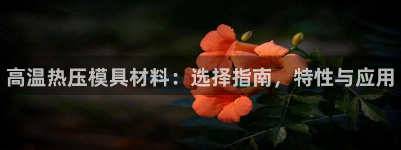 易倍纤代餐奶昔怎么样：高温热压模具材料：选择指南，特性与