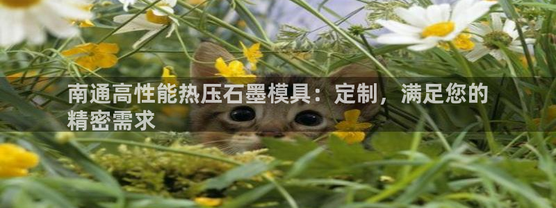 易倍英语官方网站登录：南通高性能热压石墨模具：定制，满足
