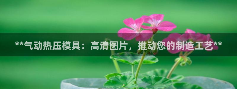 emc倍频只能是奇数倍吗：**气动热压模具：高清图片，推