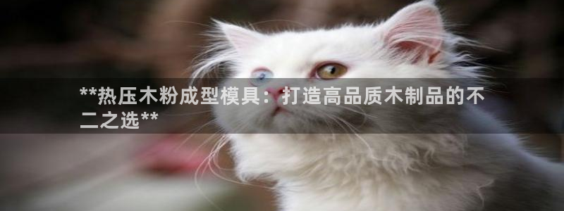 易倍申生产厂家：**热压木粉成型模具：打造高品质木制品的