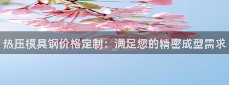 EMC易倍让身份验证：热压模具钢价格定制：满足您的精密成