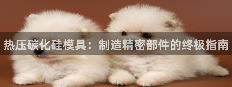 易倍单词官方网站的：热压碳化硅模具：制造精密部件的终极指