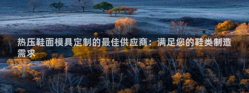 EMC易倍官网招聘：热压鞋面模具定制的最佳供应商：满足您