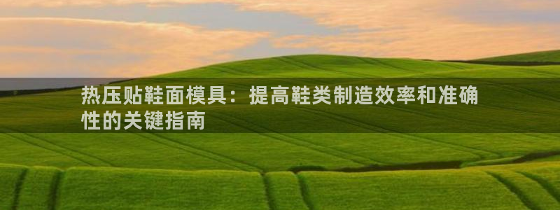 易倍申的包装规格：热压贴鞋面模具：提高鞋类制造效率和准确