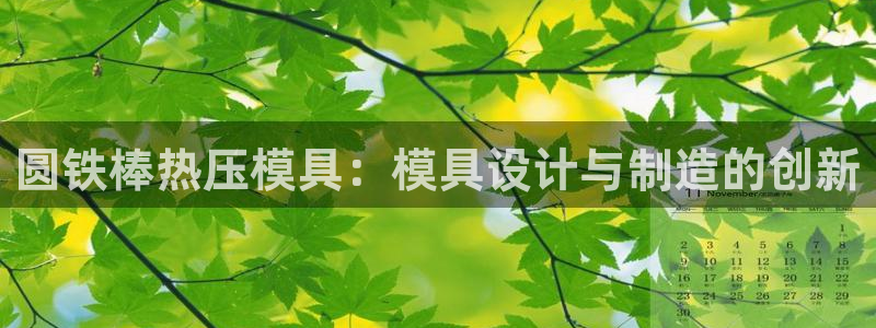 emc易倍ios官网：圆铁棒热压模具：模具设计与制造的创