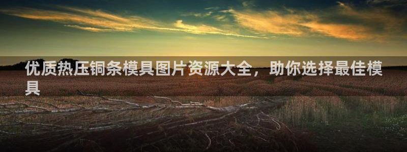 易倍单词app：优质热压铜条模具图片资源大全，助你选择最