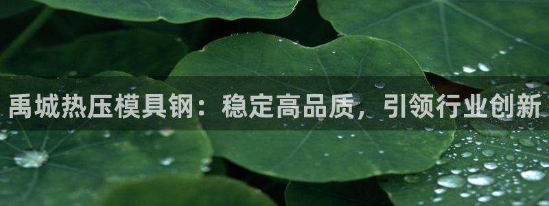 易倍单词官方网站登录：禹城热压模具钢：稳定高品质，引领行