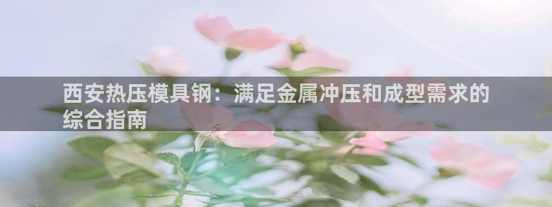 易倍纤多少钱：西安热压模具钢：满足金属冲压和成型需求的
