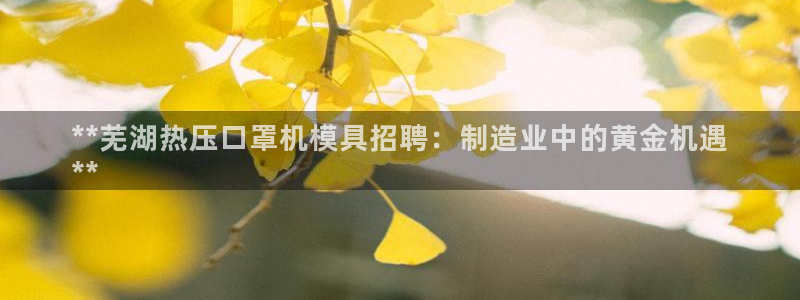 杭州易倍达科技有限公司怎么样：**芜湖热压口罩机模具招聘
