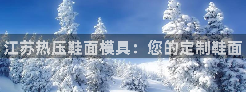 易倍下载：江苏热压鞋面模具：您的定制鞋面
