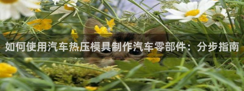 易倍达怎么样：如何使用汽车热压模具制作汽车零部件：分步指
