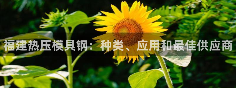 emc调试技巧：福建热压模具钢：种类、应用和最佳供应商