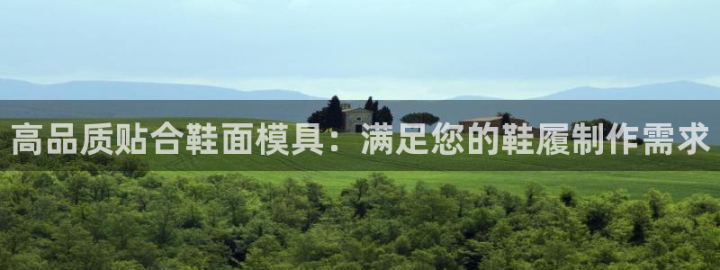 emc易倍平台：高品质贴合鞋面模具：满足您的鞋履制作需求
