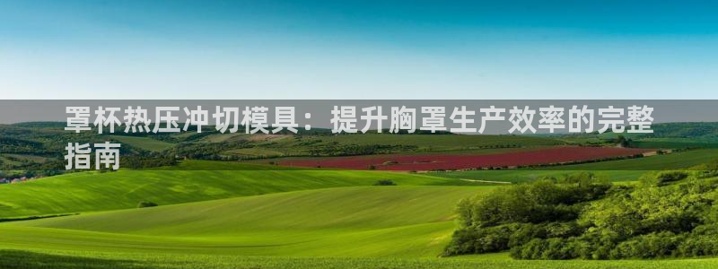 emc32软件：罩杯热压冲切模具：提升胸罩生产效率的完整