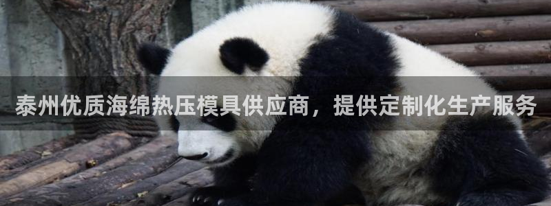 emc备份软件：泰州优质海绵热压模具供应商，提供定制化生