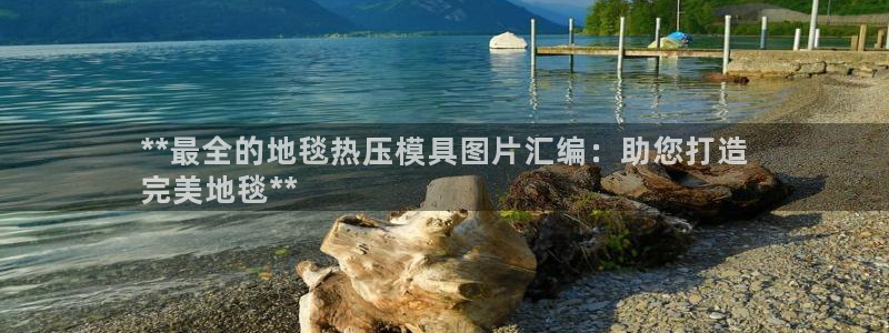 易倍单词app下载：**最全的地毯热压模具图片汇编：助您