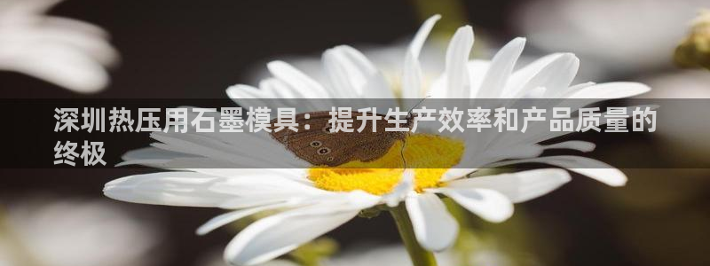emc易倍全站官网：深圳热压用石墨模具：提升生产效率和产