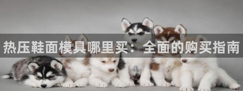 emc mcu：热压鞋面模具哪里买：全面的购买指南