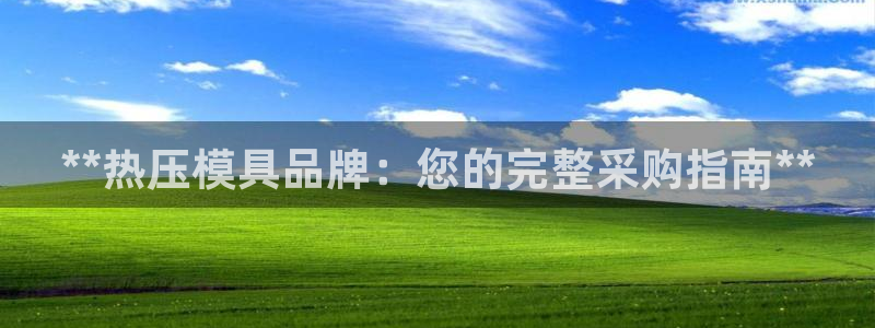 EMC易倍官方网址：**热压模具品牌：您的完整采购指南*