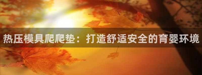 emc易倍在线登录：热压模具爬爬垫：打造舒适安全的育婴环