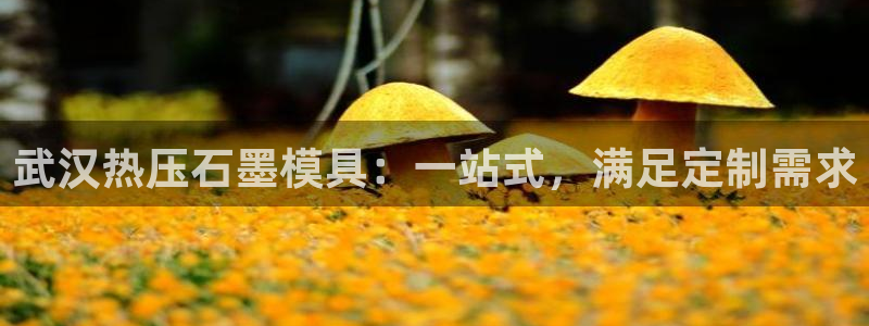 易倍申厂家：武汉热压石墨模具：一站式，满足定制需求