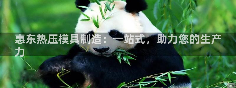 EMC易倍官方网址：惠东热压模具制造：一站式，助力您的生