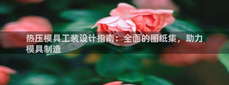 emc易倍首页：热压模具工装设计指南：全面的图纸集，助力