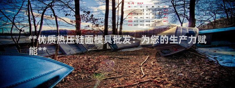 易倍EMC网址：**优质热压鞋面模具批发：为您的生产力赋