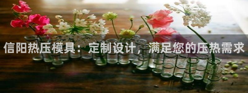 易倍单词app官网：信阳热压模具：定制设计，满足您的压热