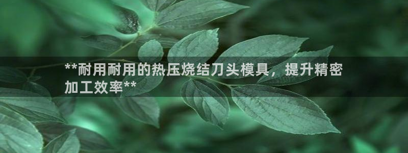 易倍全站下载：**耐用耐用的热压烧结刀头模具，提升精密
