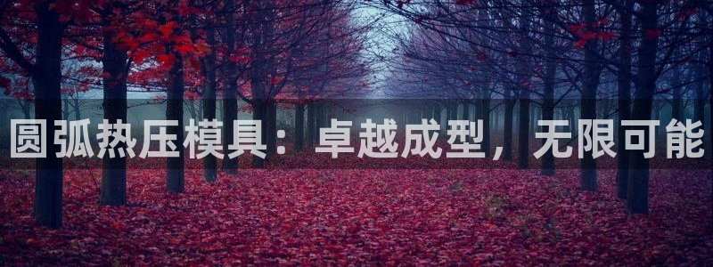 易倍网络技术有限公司招聘：圆弧热压模具：卓越成型，无限可