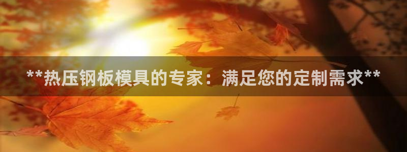 易倍emc安全吗：**热压钢板模具的专家：满足您的定制需