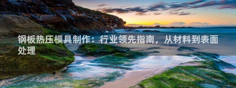 易倍纤谷物粉效果好吗：钢板热压模具制作：行业领先指南，从