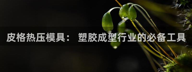 emc易倍官网首页：皮格热压模具： 塑胶成型行业的必备工