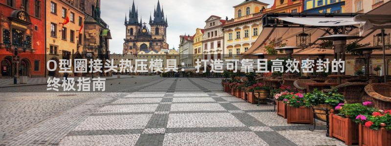 易倍网络技术有限公司怎么样：O型圈接头热压模具：打造可靠