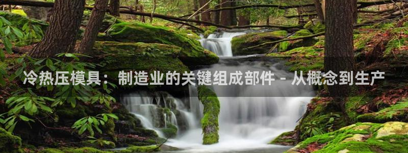 emc易倍全站官网：冷热压模具：制造业的关键组成部件 -