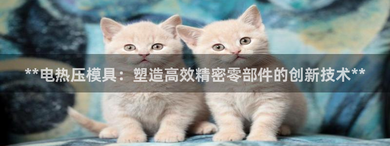 emc易倍最新链接：**电热压模具：塑造高效精密零部件的