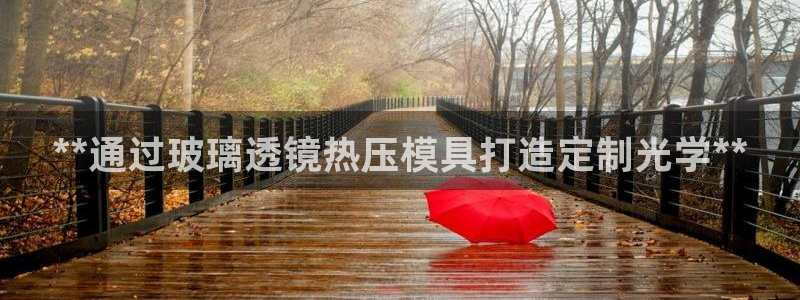 emc倍频干扰：**通过玻璃透镜热压模具打造定制光学**