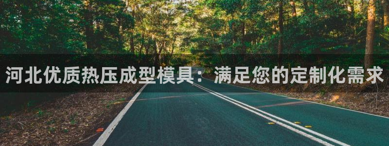 emc易倍怎么样：河北优质热压成型模具：满足您的定制化需