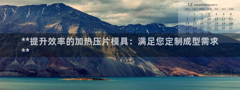 易倍达科技有限公司官网：**提升效率的加热压片模具：满足